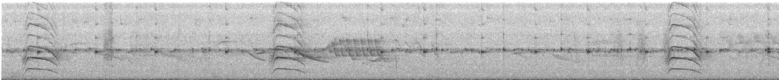 Schwefelmaskentyrann - ML165347261