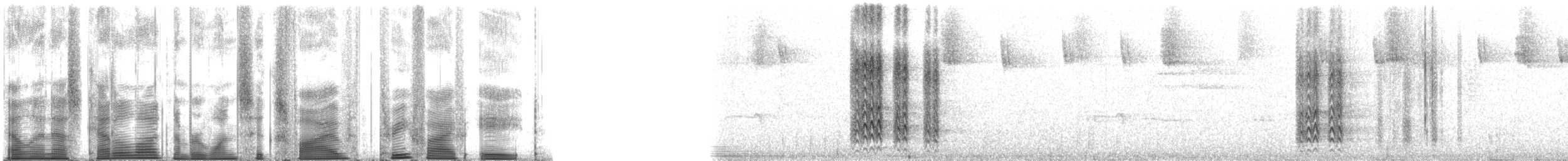 eikespett (formicivorus gr.) - ML165358