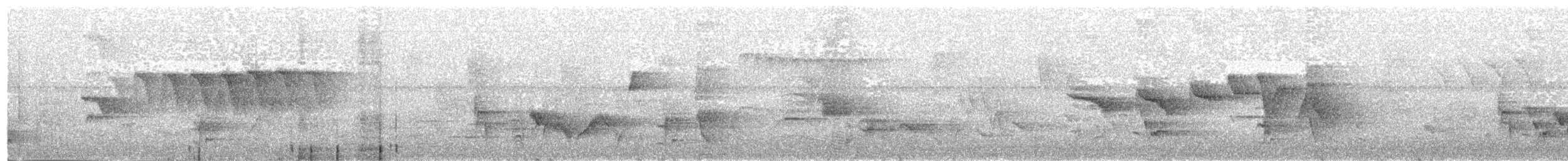 Swainson's Warbler - ML165363031