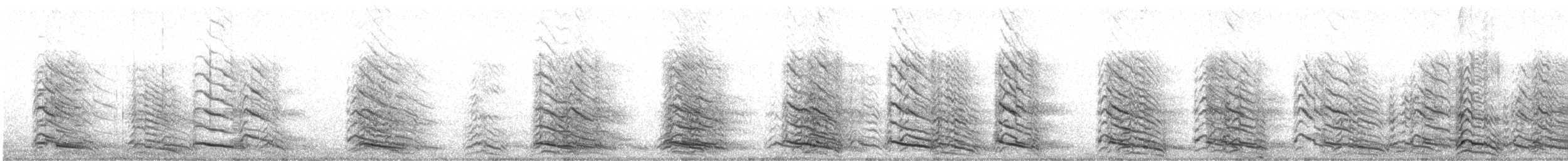 Mittelmeermöwe - ML165389971
