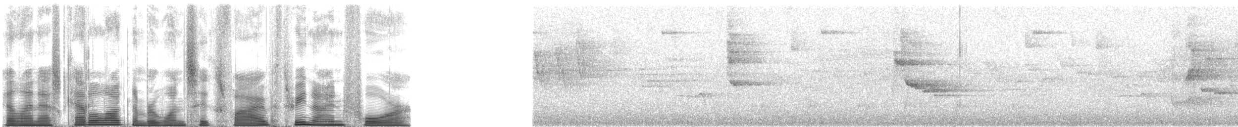 Гіла чорновола [група formicivorus] - ML165394