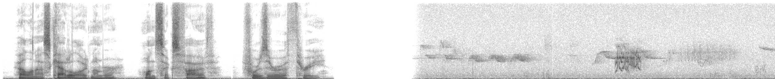 Olive-throated Parakeet (Jamaican) - ML165403