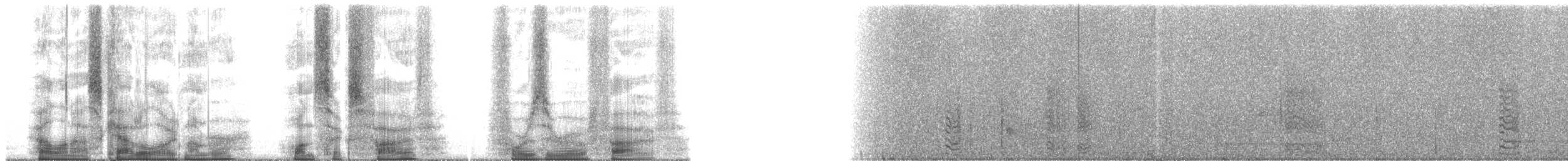 Olive-throated Parakeet (Jamaican) - ML165405