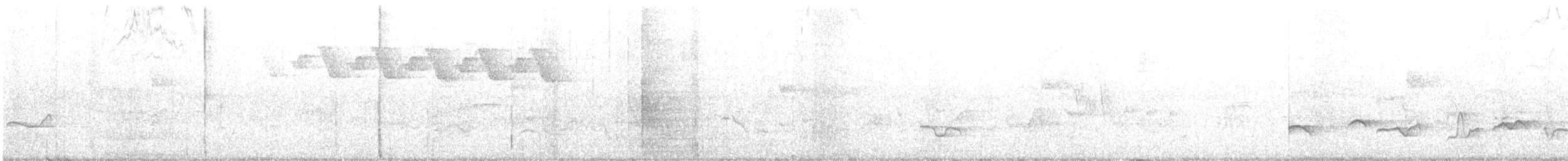 Black-and-white Warbler - ML165411241