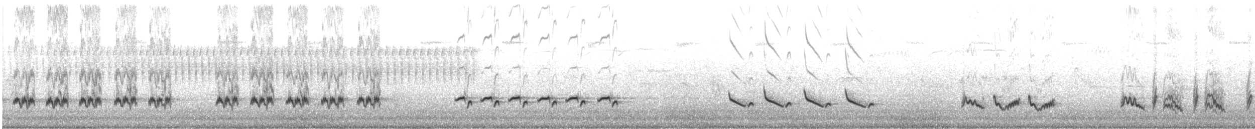 Northern Mockingbird - ML165417851