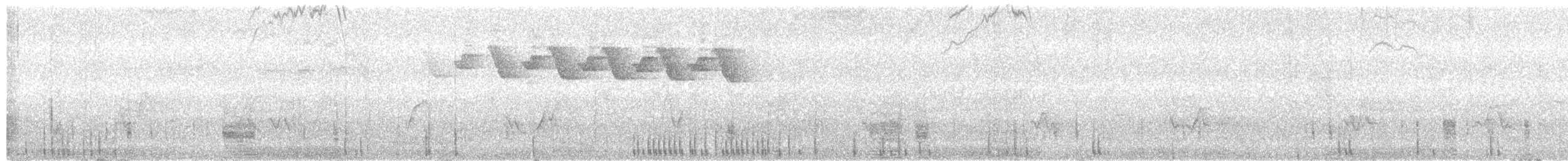 Black-and-white Warbler - ML165420581