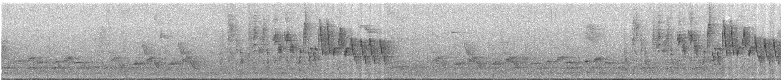 Troglodyte familier - ML165487341