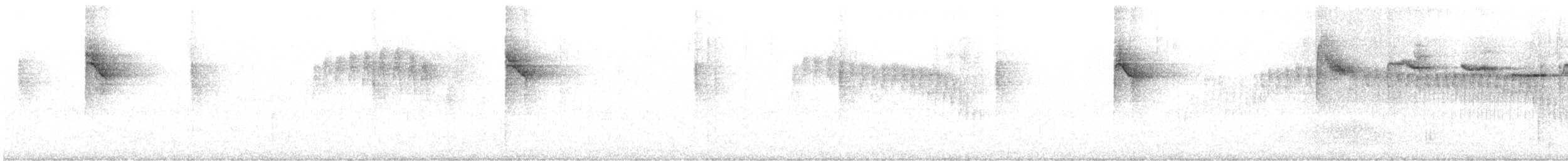 White-browed Warbler - ML165497451