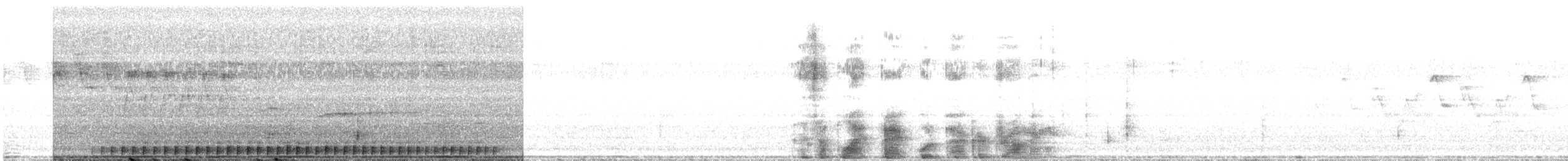 svartryggspett - ML165501201