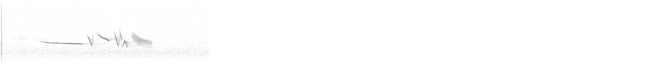 Bruant à couronne blanche - ML165511081