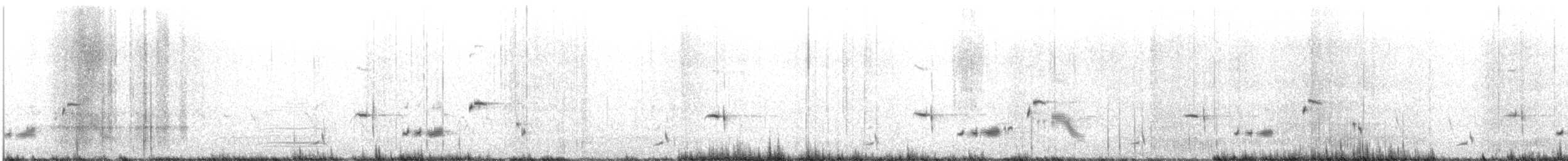 Western Whipbird (Black-throated) - ML165548401