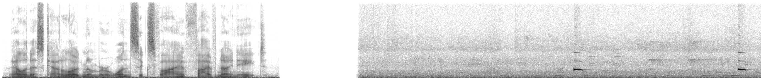 Common Midwife Toad - ML165598