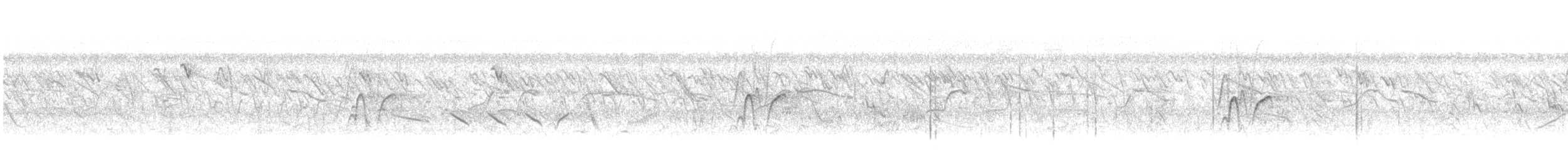 Cava Islıkçı Ördeği - ML165602001