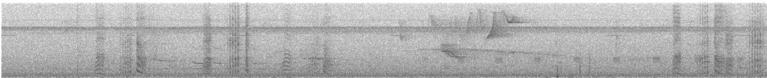 Kara Karınlı Sincap Guguğu - ML165607361
