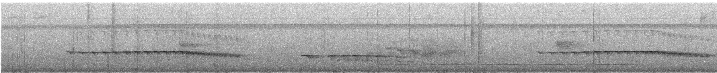 Grauwangen-Ameisenvogel - ML165608921
