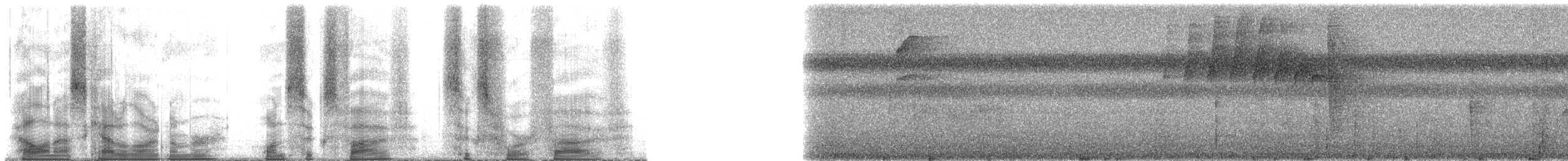Microxénops à queue rousse - ML165645