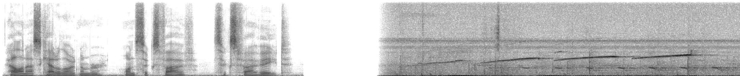 Sırtı Pullu Karıncakuşu - ML165658