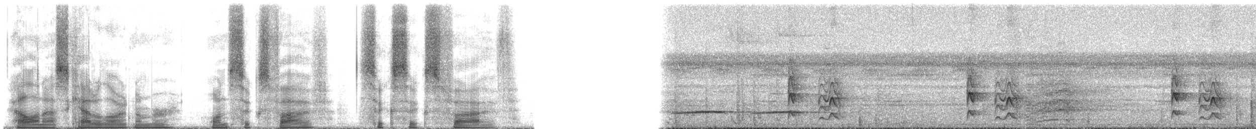 Темнохвостая иглохвостка - ML165665