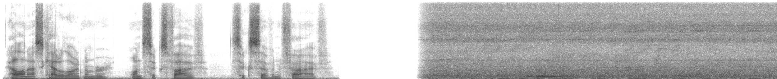 Белокрылый бекард - ML165675