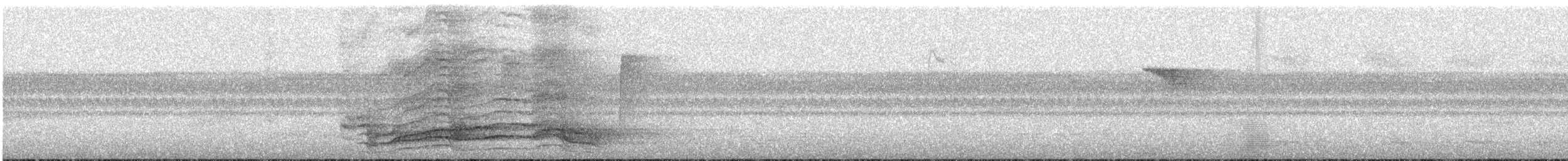svartkronekattefugl - ML165705221