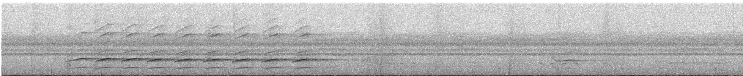 Raggiana Cennetkuşu - ML165705331