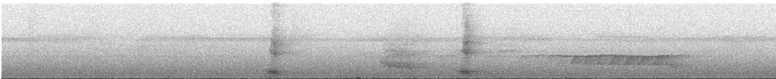 Trompeterparadieskrähe - ML165705741