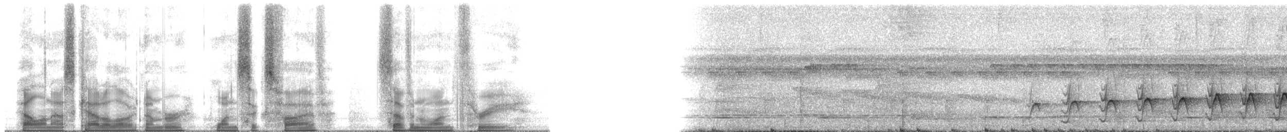 Мурав’янка сірочерева (підвид torquata) - ML165713