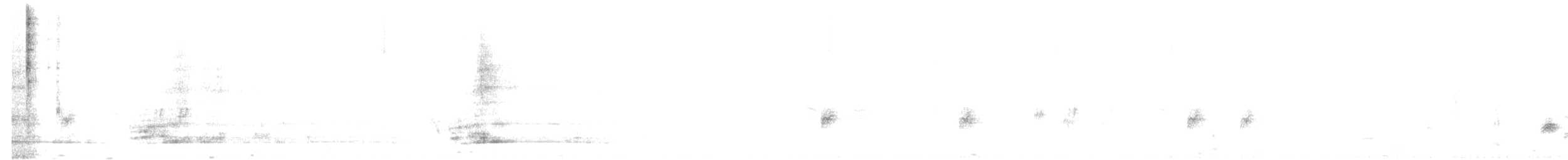 Бородавчатый ибис - ML165731711