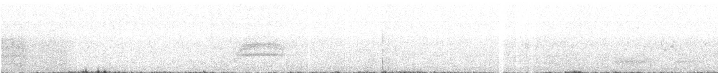 Тауї плямистий - ML165732861