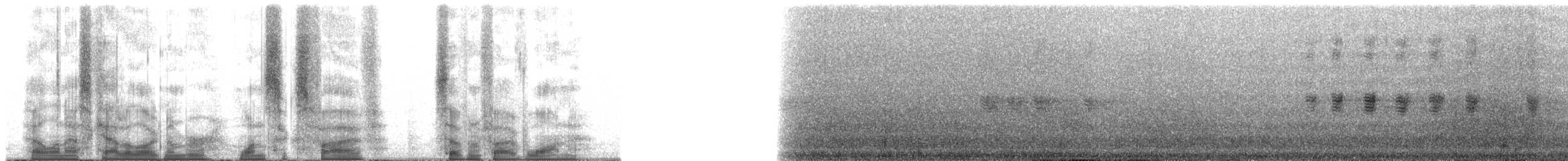 Mirlo Acuático Coroniblanco (leuconotus) - ML165751