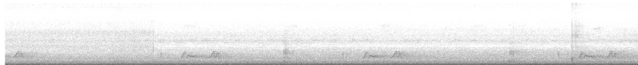 Carolinanachtschwalbe - ML165789731