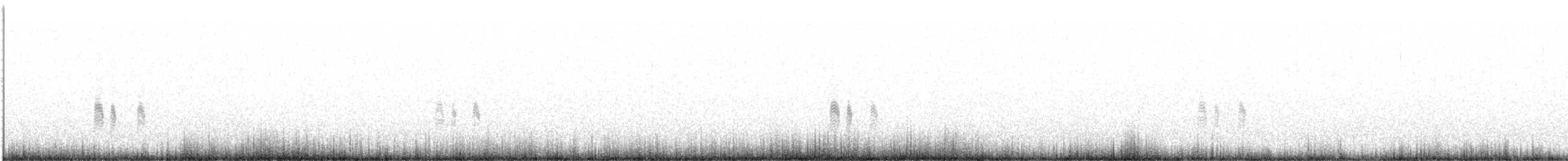 Antillennachtschwalbe - ML165796211