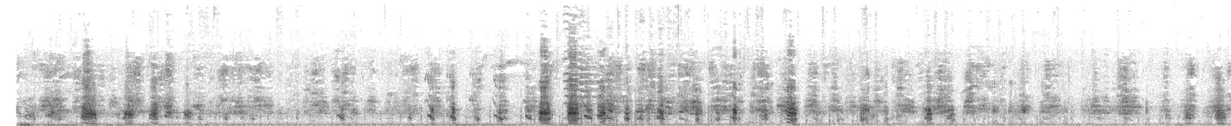 マガモ（アヒル、家畜） - ML165801281