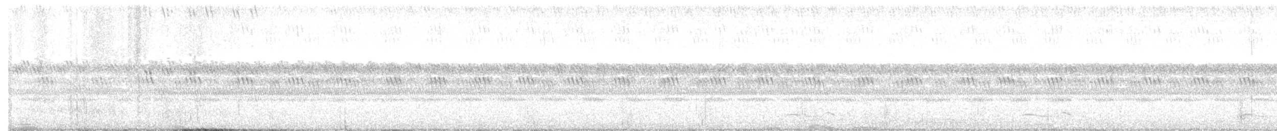 Winternachtschwalbe - ML165806001