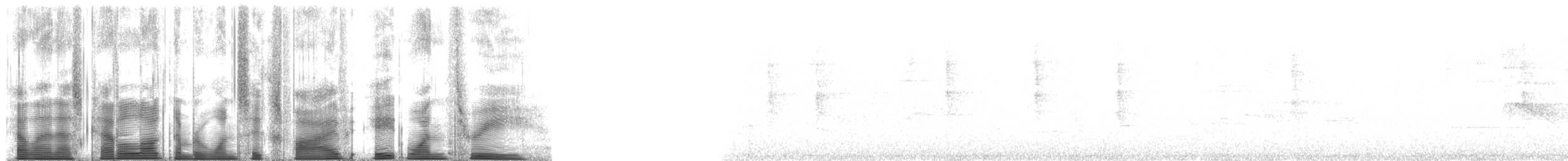 Болотянка мала - ML165813
