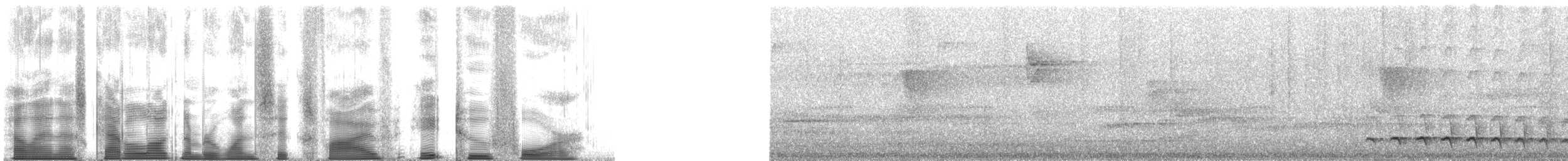 Olivgrau-Ameisenvogel - ML165824