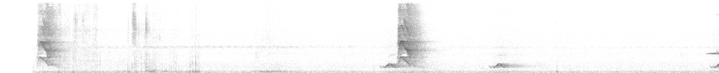 White-tailed Robin - ML165824801