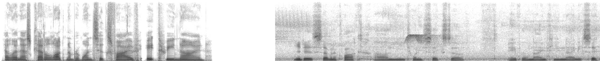 Gelbbauch-Schnäppertyrann (aurantiiventris) - ML165839