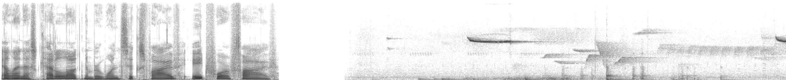 Шпалюшок амазонійський (підвид luscinia) - ML165845