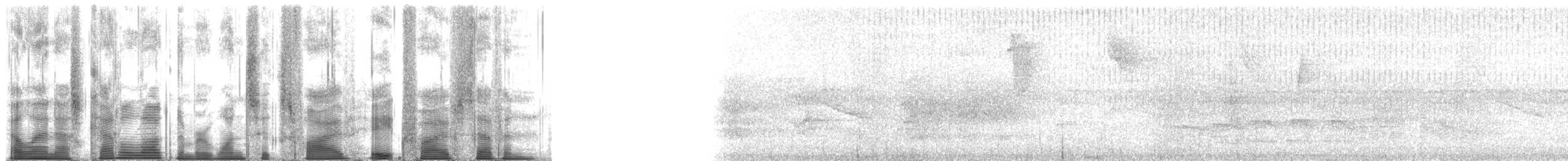 Сероголовый бентеви - ML165857