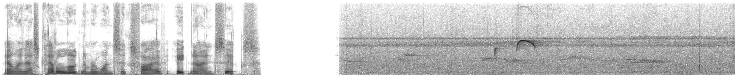 Kuzey Sorguçlu Sinekkapan (aurantiiventris) - ML165896