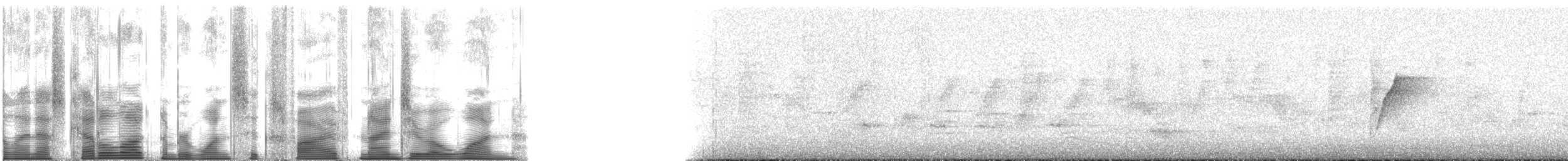 Mor Nektarkuşu - ML165901