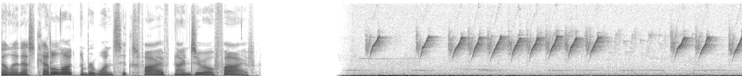 Атласная нектарница - ML165905