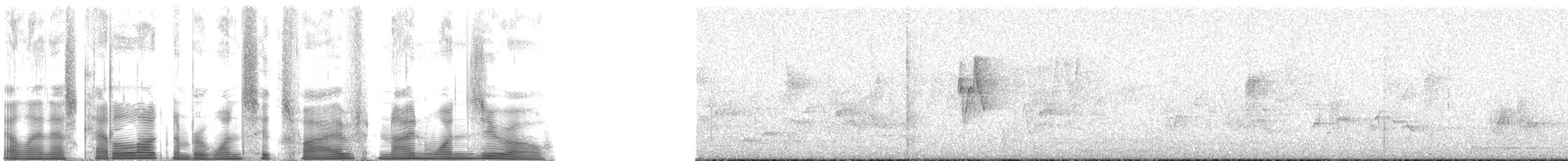 Three-striped Palm Squirrel - ML165910