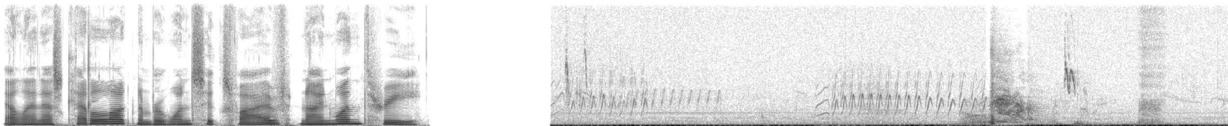 Capucin bec-de-plomb - ML165913