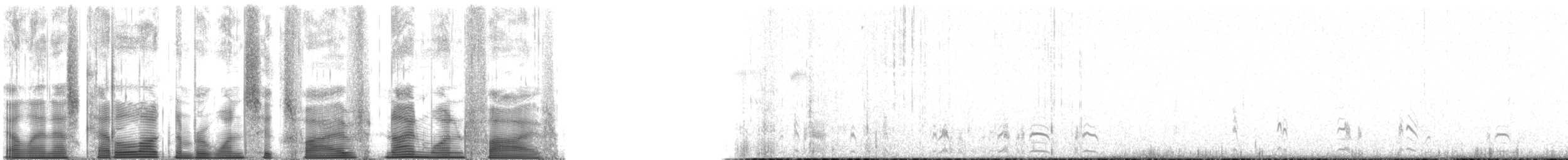 stepokur hnědobřichý (ssp. hindustan) - ML165915