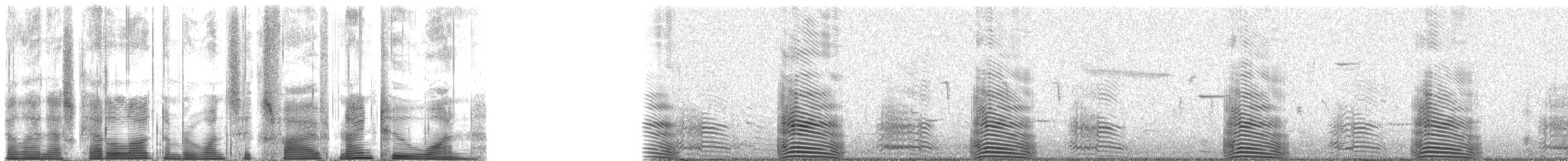 Great Black-backed Gull - ML165921