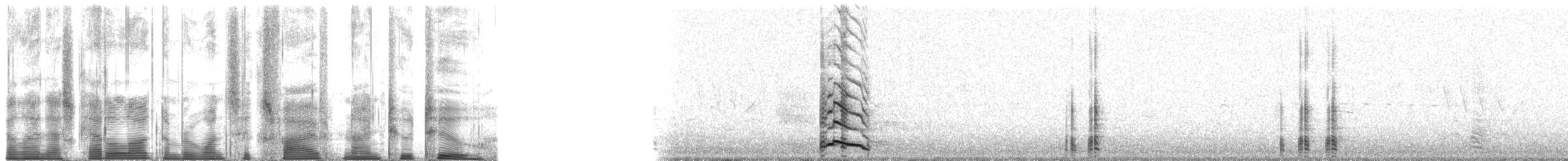 American Herring Gull - ML165922