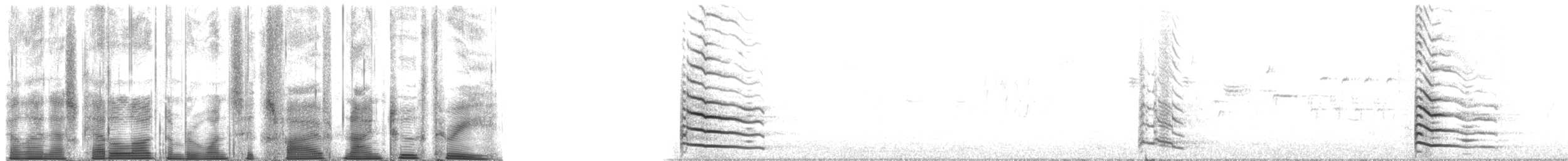 American Herring Gull - ML165923