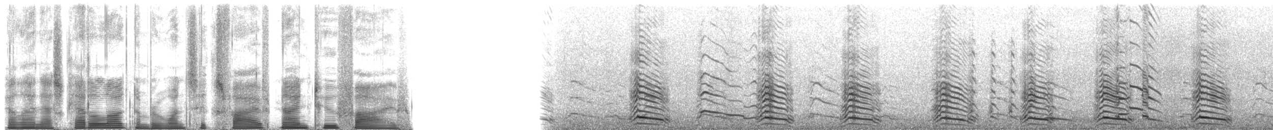 Lesser Black-backed Gull - ML165925